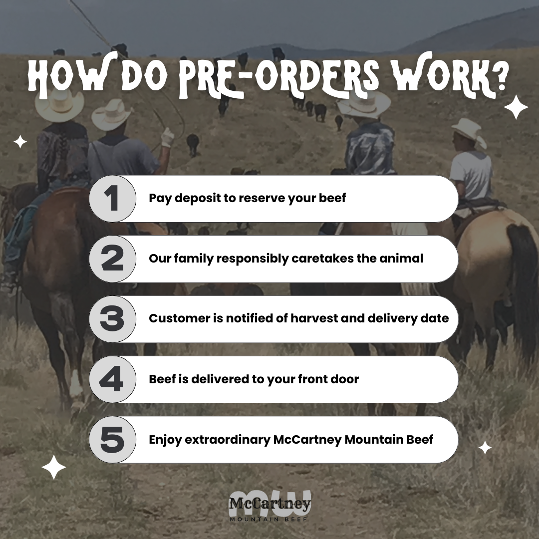 100 LB Beef Bundle - Pre Order