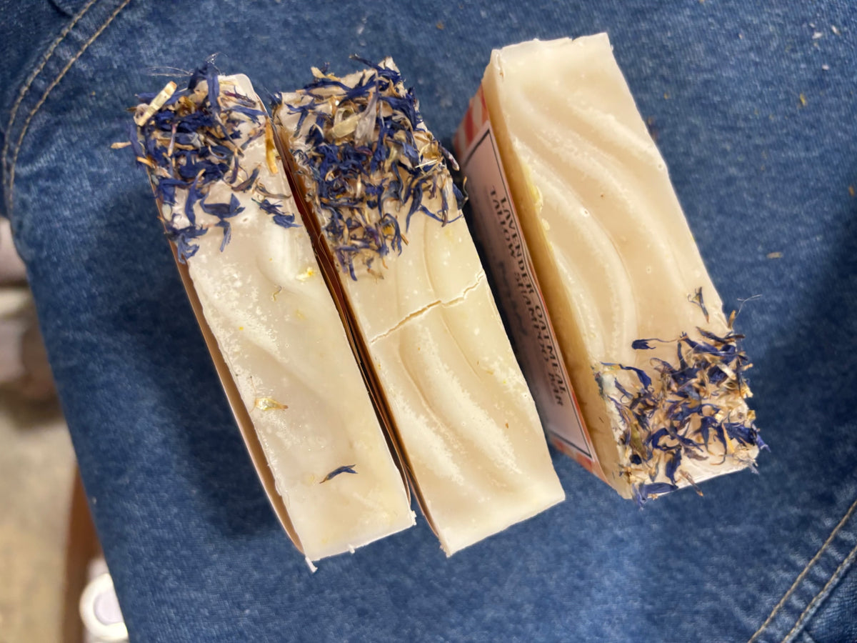 Lavender Tallow Shampoo Bar