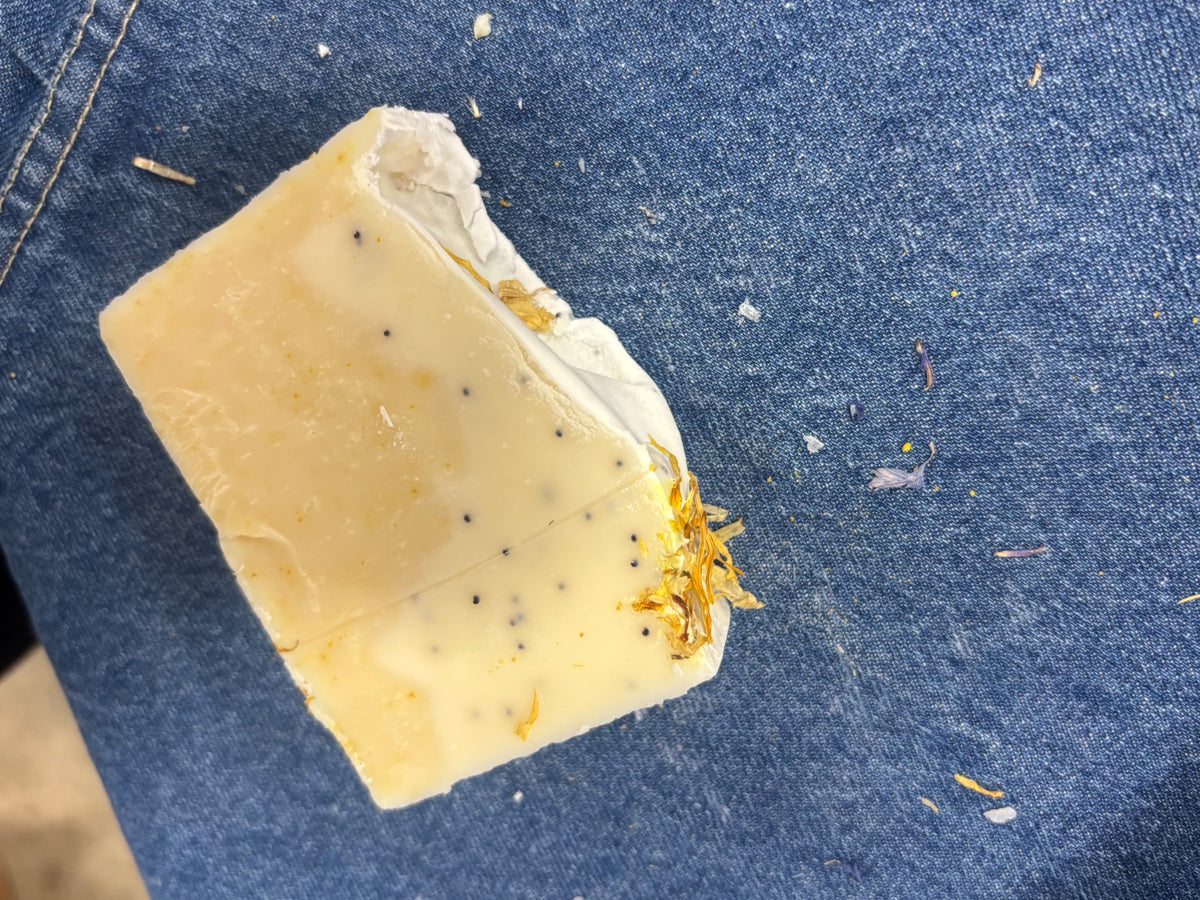 Lemon Poppy Seed Tallow Soap